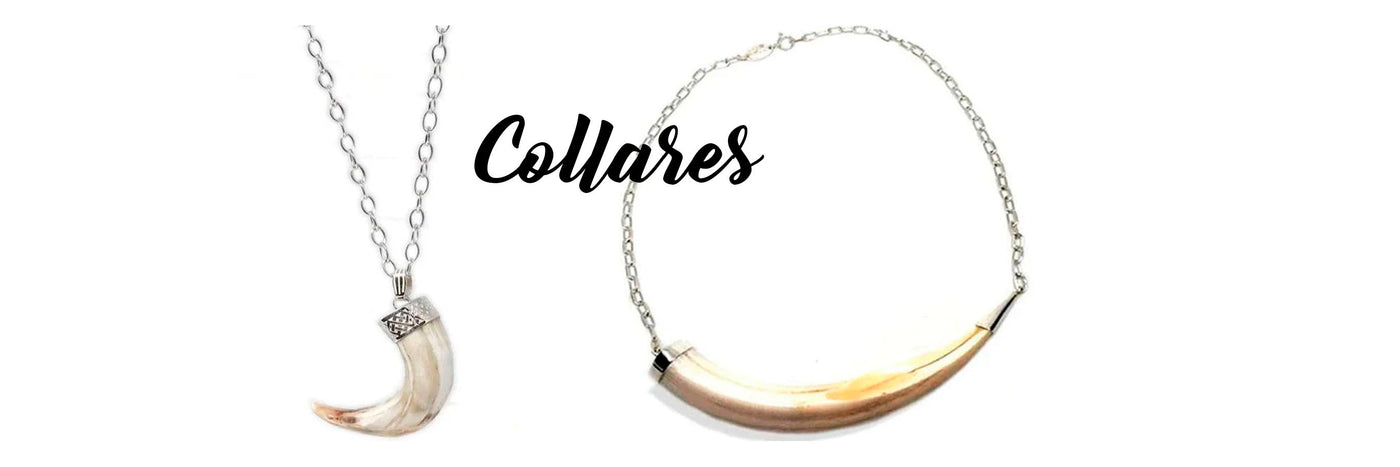 collares de jabali