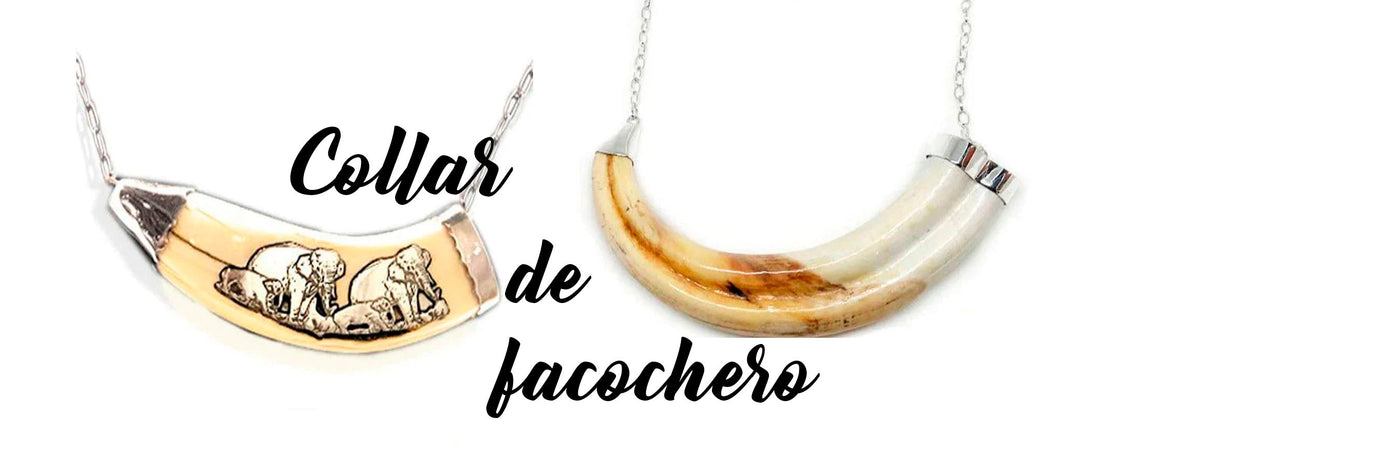 collar facochero africano