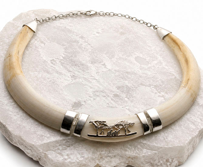 Collar de Colmillos de Facochero Centro africano con Detalles en Plata de la firma joyas de caza