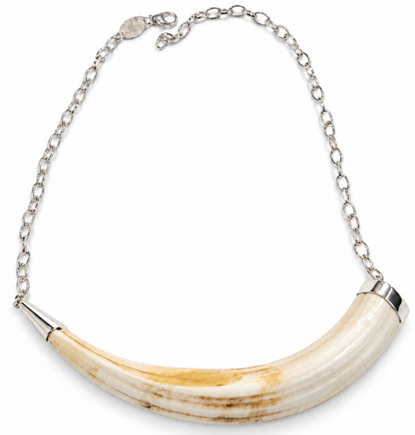Collar Colmillo Facochero Sencillo Plata 925  15 cm 45 cm Cadena  Joyas de Caza