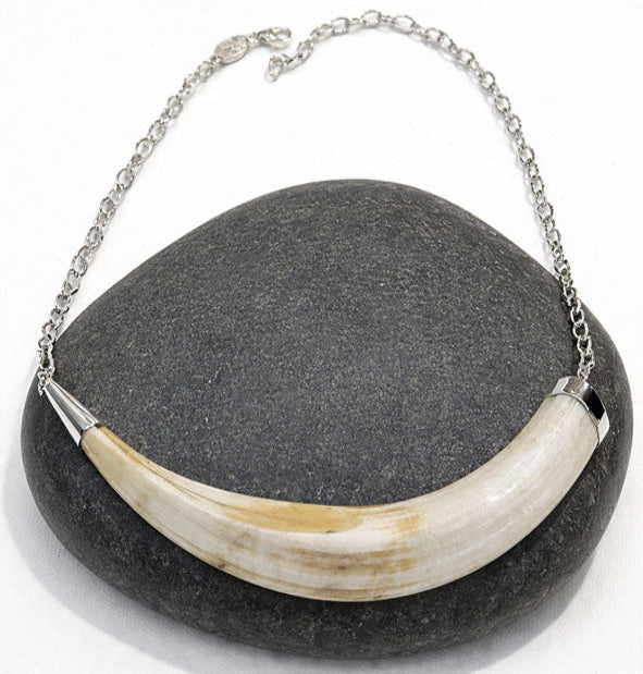 Collar colmillo de facochero africano modelo sencillo con plata de ley 925 – Joyas de Caza 