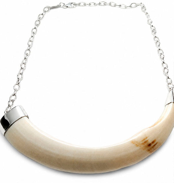 Collar colmillo de jabalí modelo sencillo con cadena de eslabones en plata 925 | Joyas de Caza
