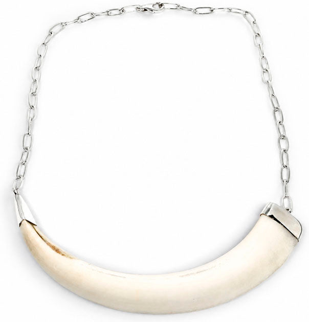 Detalle del colmillo de jabalí natural de 15 cm con casquillo en plata 925, vista lateral | Joyas de Caza
