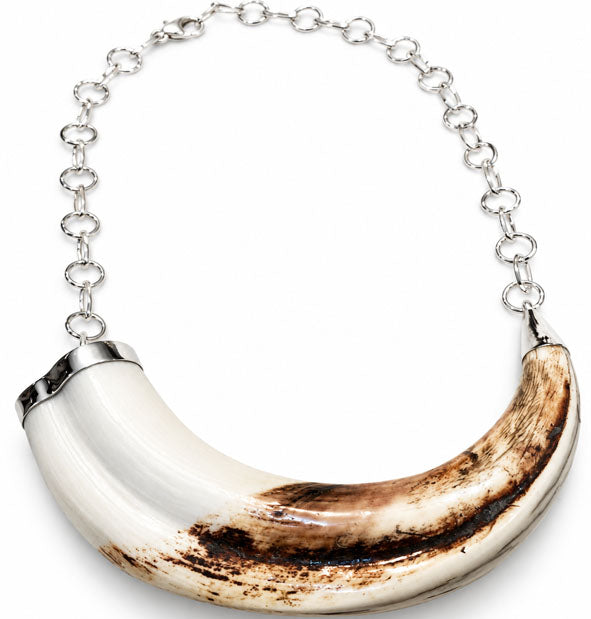 Collar Colmillo Facochero Sencillo Plata 925  45 cm  Joyas de Caza