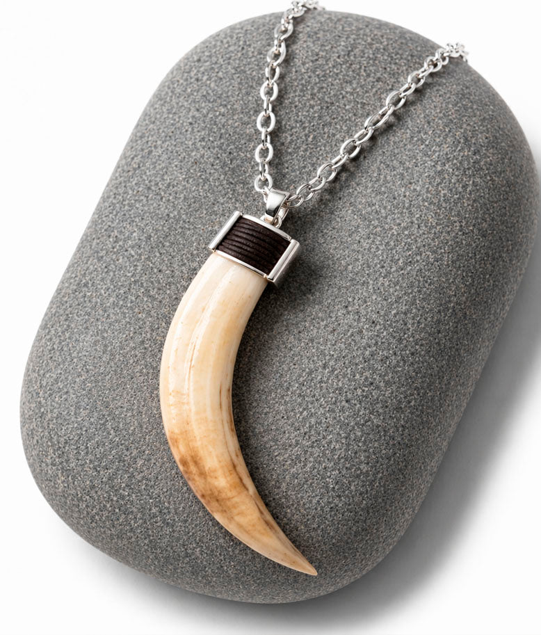 Detalle colmillo facochero natural engastado en casquillo de pelo de búfalo africano y plata 925