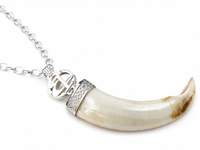 Collier long maillons défense de sanglier personnalisé en argent