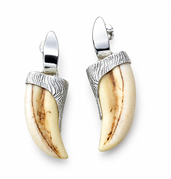 Pendientes Largos Colmillo Facochero Casquillo Tallado Plata 925  5 cm  Joyas de Caza