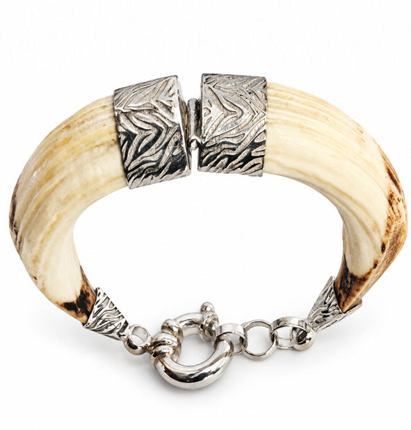 Pulsera Amoladeras de Jabalí Natural con Bisagra en Plata 925