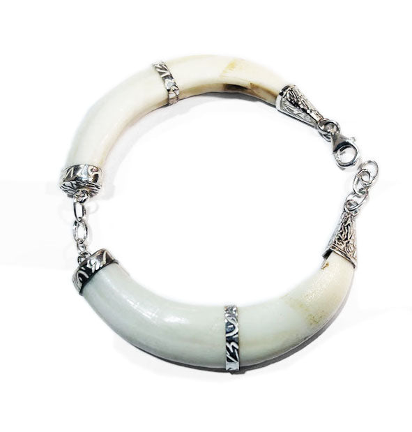 pulsera-dos-colmillos-natural-jabali-con-plata-2