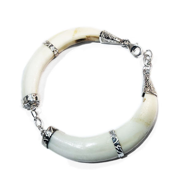 pulsera-dos-colmillos-natural-jabali-con-plata-3