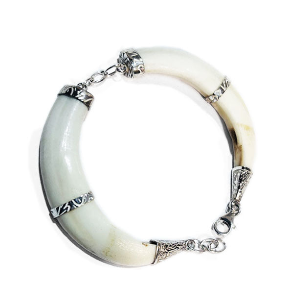 pulsera-dos-colmillos-natural-jabali-con-plata-4