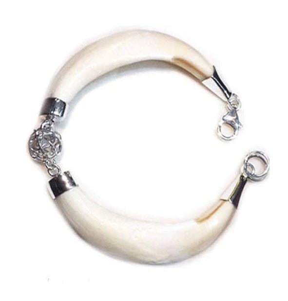 pulsera colmillo jabalí centro bolita en plata