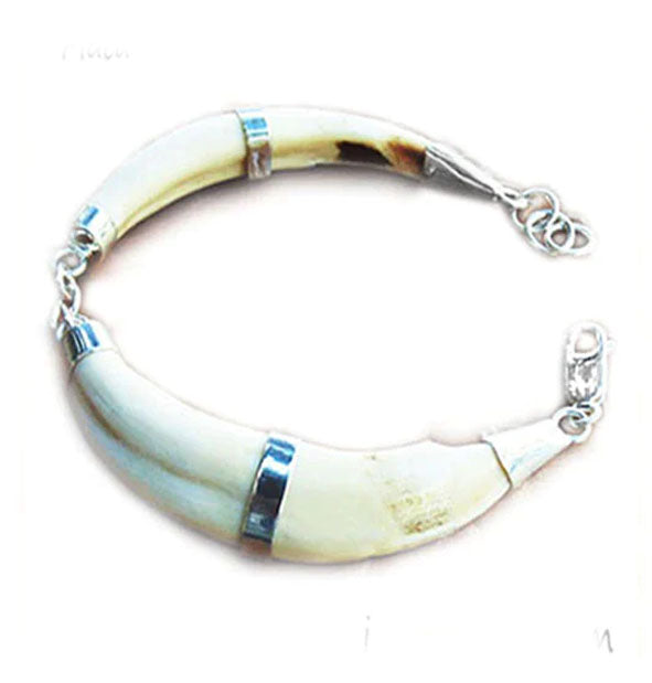 pulsera dos colmillos natural jabali con plata