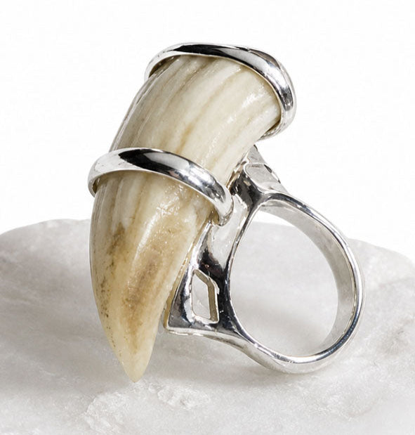 Wild Boar Tusk Ring in 925 Sterling Silver | Hunting Jewelry