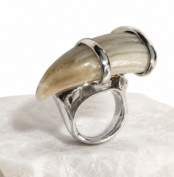 Wild Boar Tusk Ring in 925 Sterling Silver | Hunting Jewelry