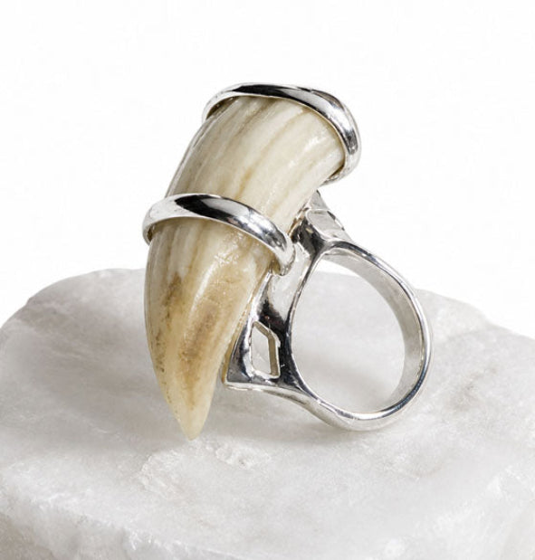 Wild Boar Tusk Ring in 925 Sterling Silver | Hunting Jewelry